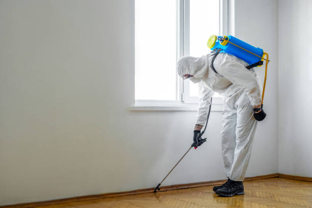 Best Wasp Removal Services  in Shaker Heights, OH